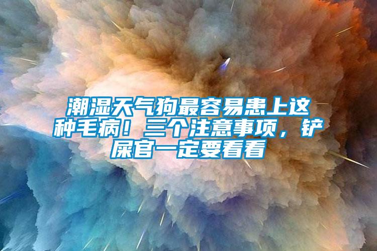 潮濕天氣狗最容易患上這種毛??！三個注意事項，鏟屎官一定要看看