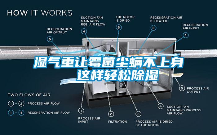 濕氣重讓霉菌塵螨不上身  這樣輕松除濕