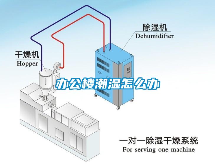 辦公樓潮濕怎么辦