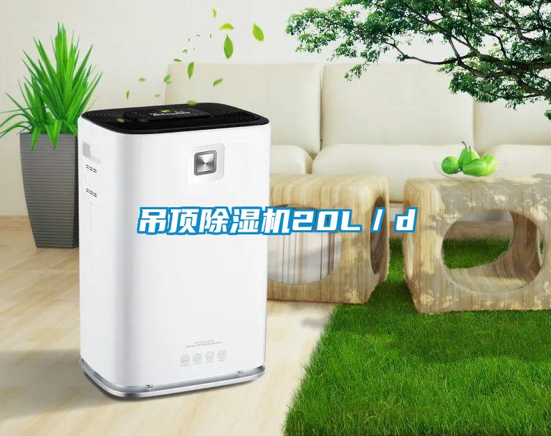 吊頂除濕機(jī)20L／d