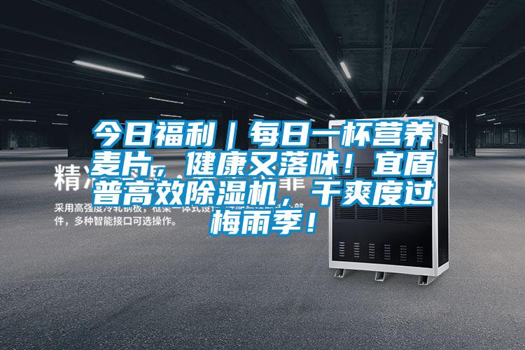 今日福利｜每日一杯營養(yǎng)麥片，健康又落味！宜盾普高效除濕機(jī)，干爽度過梅雨季！