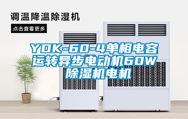 YDK-60-4單相電容運(yùn)轉(zhuǎn)異步電動(dòng)機(jī)60W 除濕機(jī)電機(jī)