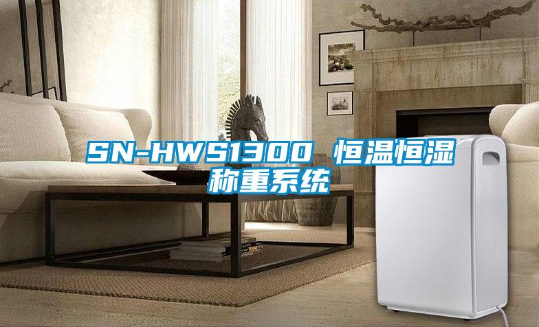 SN-HWS1300 恒溫恒濕稱重系統(tǒng)