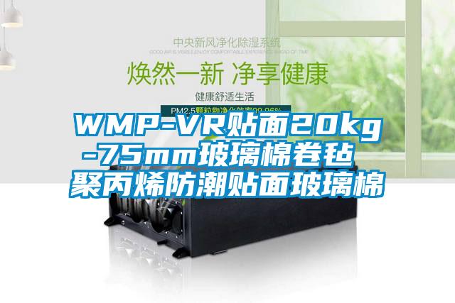 WMP-VR貼面20kg-75mm玻璃棉卷氈 聚丙烯防潮貼面玻璃棉