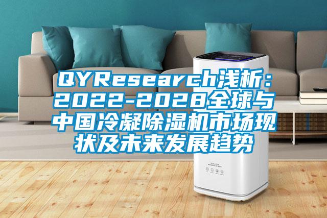 QYResearch淺析：2022-2028全球與中國(guó)冷凝除濕機(jī)市場(chǎng)現(xiàn)狀及未來發(fā)展趨勢(shì)