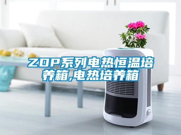 ZDP系列電熱恒溫培養(yǎng)箱,電熱培養(yǎng)箱