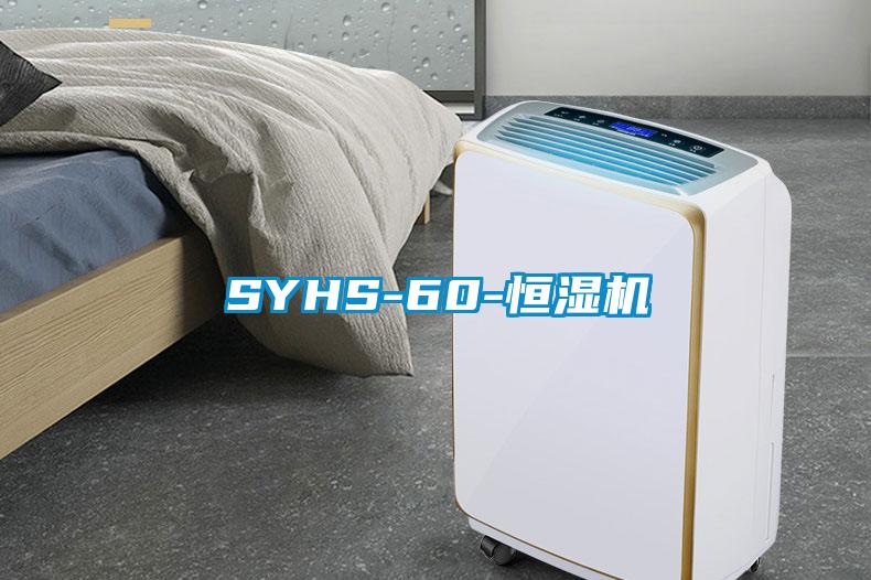 SYHS-60-恒濕機(jī)