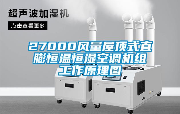 27000風(fēng)量屋頂式直膨恒溫恒濕空調(diào)機(jī)組工作原理圖