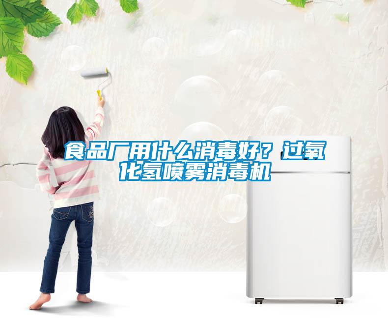 食品廠用什么消毒好？過氧化氫噴霧消毒機(jī)