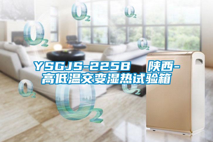 YSGJS-225B  陜西-高低溫交變濕熱試驗箱