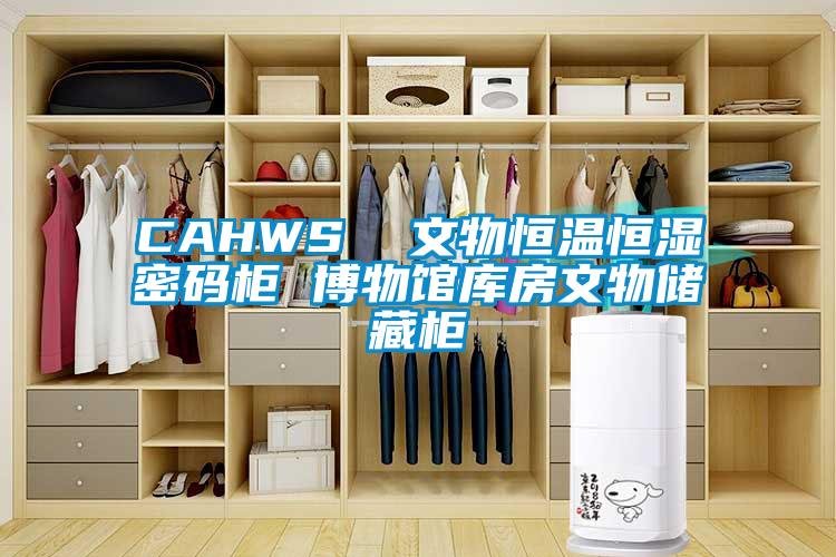 CAHWS  文物恒溫恒濕密碼柜 博物館庫房文物儲藏柜