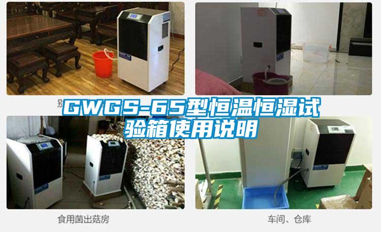 GWGS-65型恒溫恒濕試驗箱使用說明