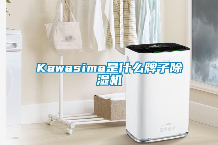 Kawasima是什么牌子除濕機(jī)