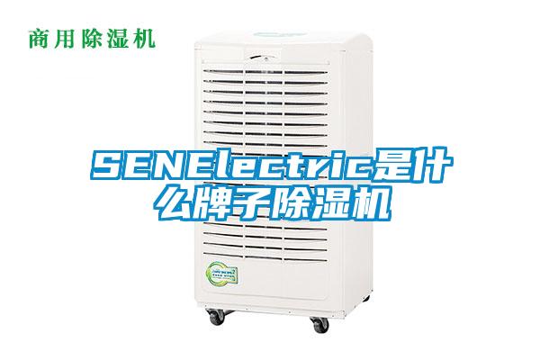 SENElectric是什么牌子除濕機