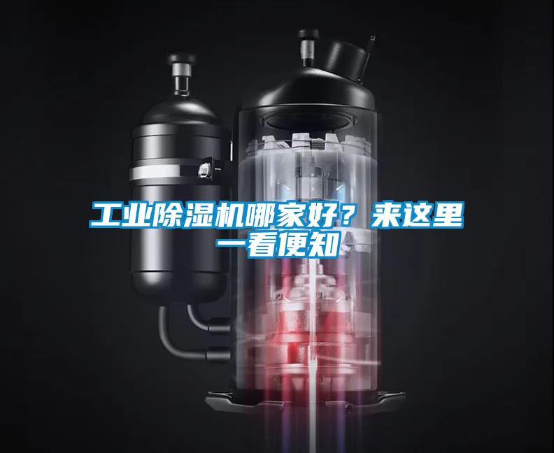 工業(yè)除濕機哪家好？來這里一看便知