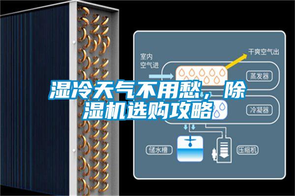 濕冷天氣不用愁，除濕機(jī)選購攻略