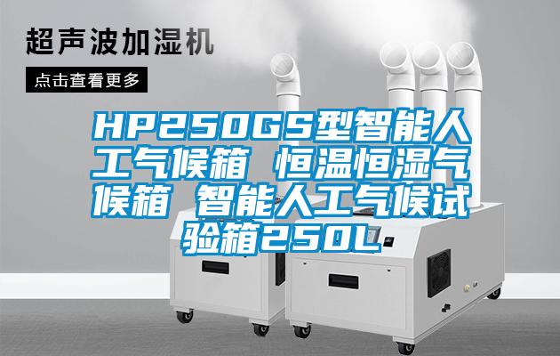 HP250GS型智能人工氣候箱 恒溫恒濕氣候箱 智能人工氣候試驗(yàn)箱250L