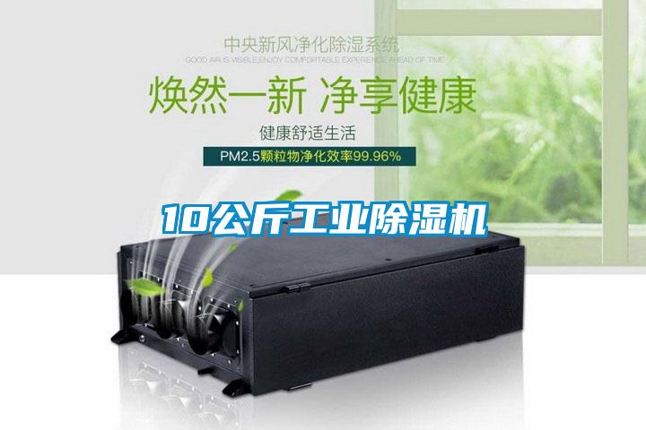 10公斤工業(yè)除濕機(jī)