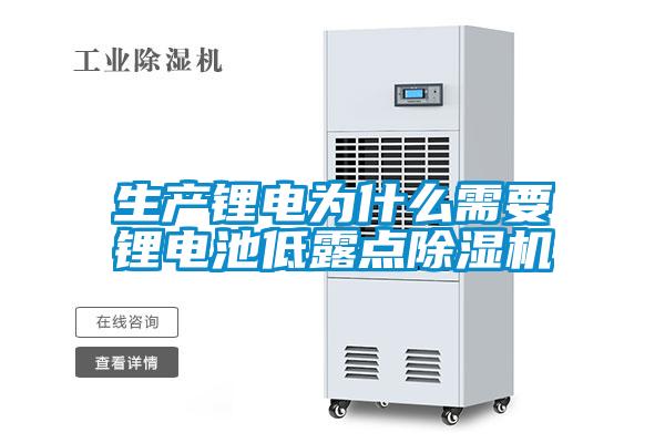 生產(chǎn)鋰電為什么需要鋰電池低露點(diǎn)除濕機(jī)