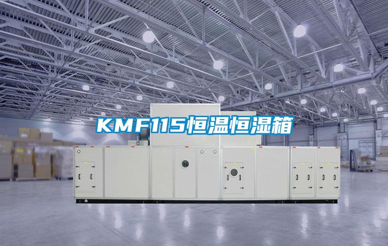 KMF115恒溫恒濕箱