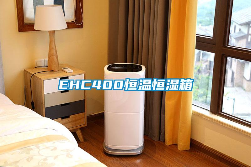 EHC400恒溫恒濕箱