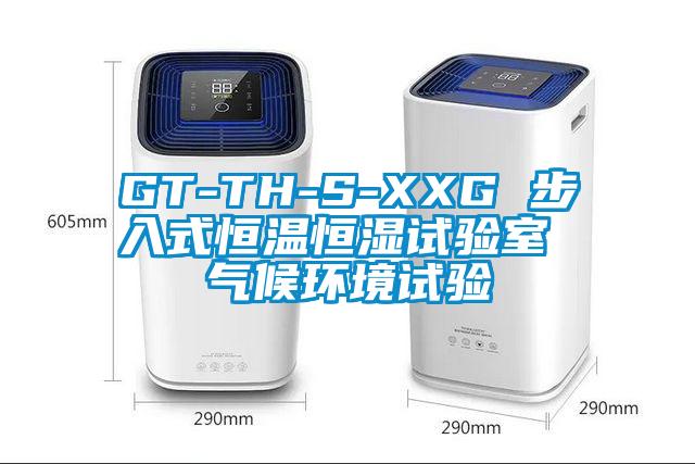 GT-TH-S-XXG 步入式恒溫恒濕試驗室 氣候環(huán)境試驗