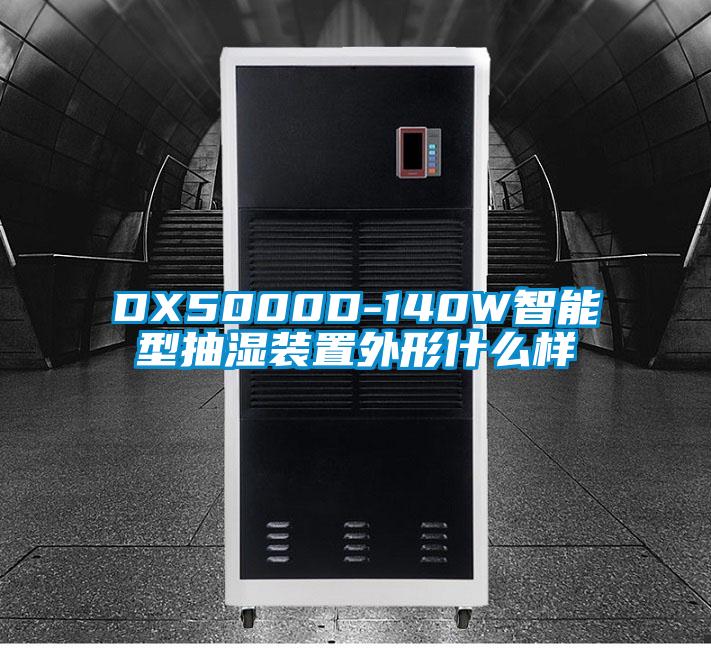 DX5000D-140W智能型抽濕裝置外形什么樣