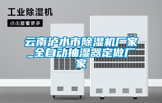 云南瀘水市除濕機廠家_全自動抽濕器定做廠家