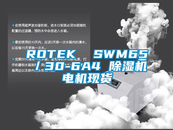 ROTEK  SWM65／30-6A4 除濕機電機現(xiàn)貨