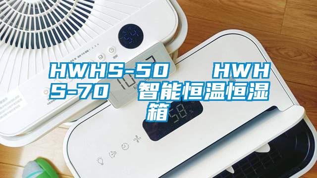 HWHS-50   HWHS-70  智能恒溫恒濕箱