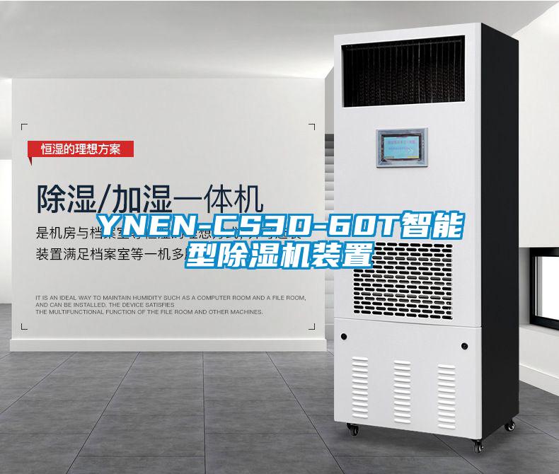 YNEN-CS3D-60T智能型除濕機(jī)裝置