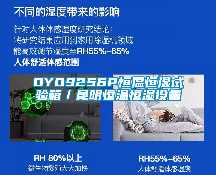 OYO9256P恒溫恒濕試驗(yàn)箱／昆明恒溫恒濕設(shè)備