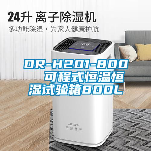 DR-H201-800  可程式恒溫恒濕試驗箱800L