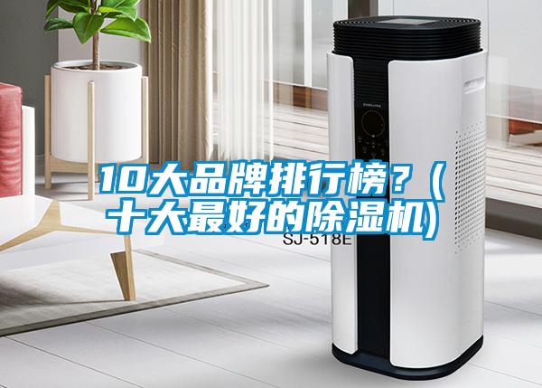 10大品牌排行榜？(十大最好的除濕機(jī))