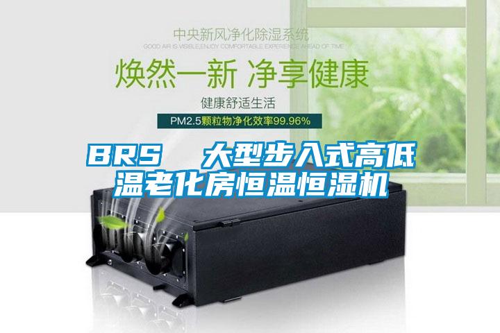 BRS  大型步入式高低溫老化房恒溫恒濕機