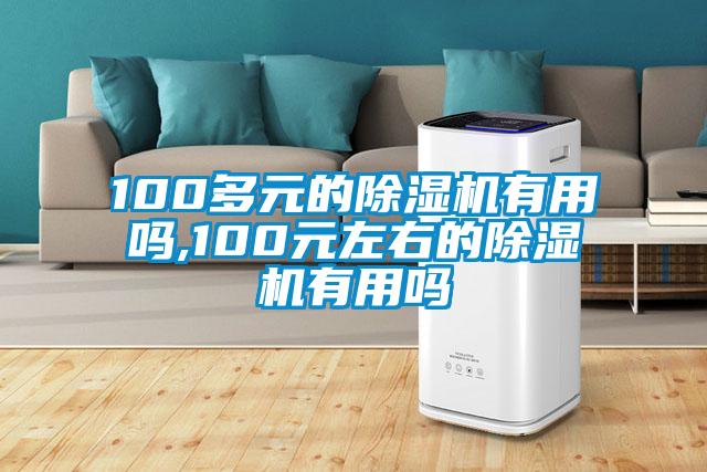 100多元的除濕機(jī)有用嗎,100元左右的除濕機(jī)有用嗎