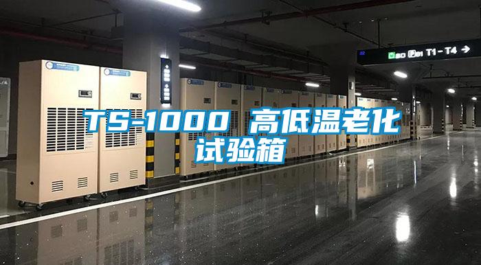 TS-1000 高低溫老化試驗(yàn)箱