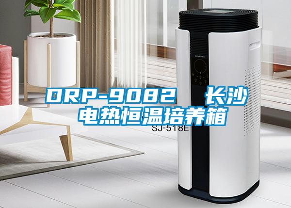 DRP-9082  長沙 電熱恒溫培養(yǎng)箱