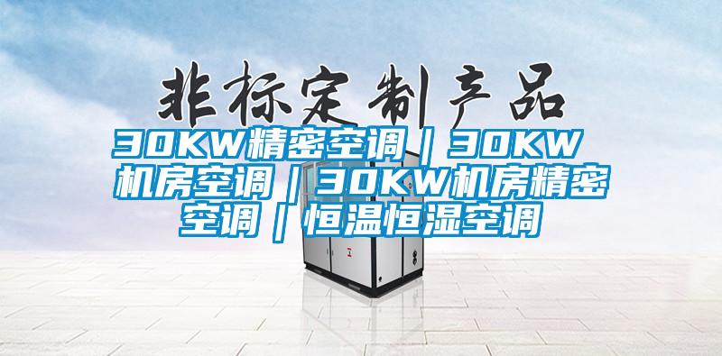 30KW精密空調(diào)｜30KW 機(jī)房空調(diào)｜30KW機(jī)房精密空調(diào)｜恒溫恒濕空調(diào)