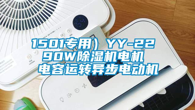 1501專用）YY-22  90W除濕機(jī)電機(jī)  電容運(yùn)轉(zhuǎn)異步電動機(jī)