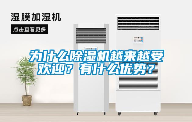 為什么除濕機(jī)越來越受歡迎？有什么優(yōu)勢？