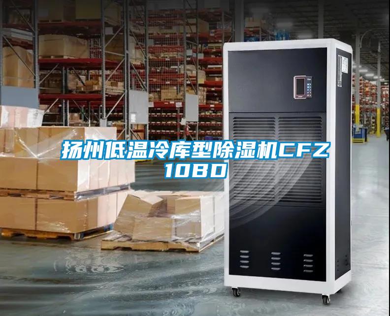 揚(yáng)州低溫冷庫(kù)型除濕機(jī)CFZ10BD