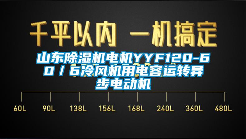 山東除濕機電機YYF120-60／6冷風(fēng)機用電容運轉(zhuǎn)異步電動機