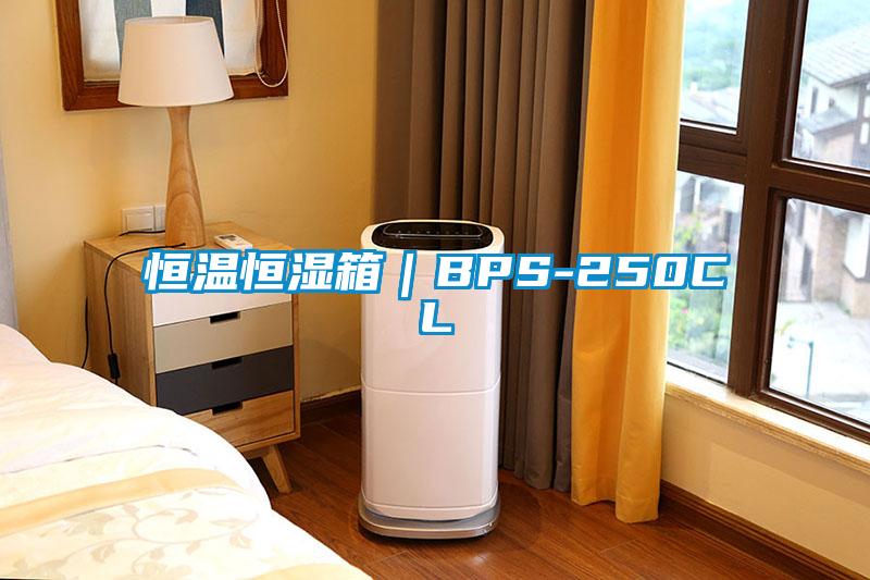 恒溫恒濕箱｜BPS-250CL