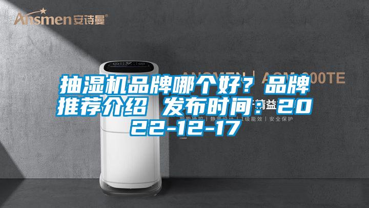 抽濕機(jī)品牌哪個(gè)好？品牌推薦介紹 發(fā)布時(shí)間：2022-12-17