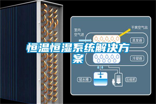 恒溫恒濕系統(tǒng)解決方案