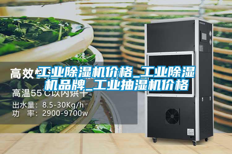 工業(yè)除濕機(jī)價(jià)格_工業(yè)除濕機(jī)品牌_工業(yè)抽濕機(jī)價(jià)格