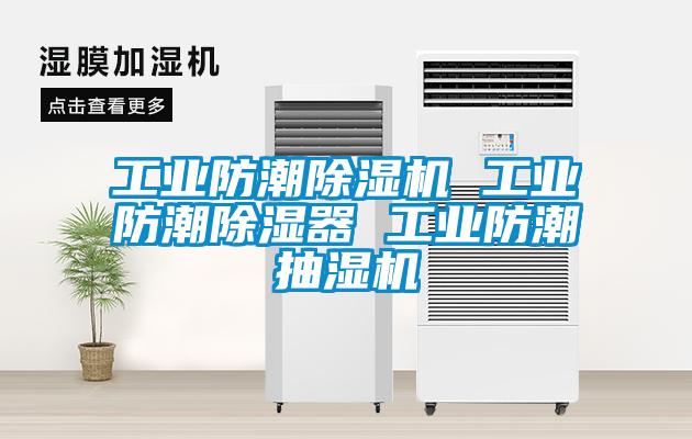 工業(yè)防潮除濕機 工業(yè)防潮除濕器 工業(yè)防潮抽濕機