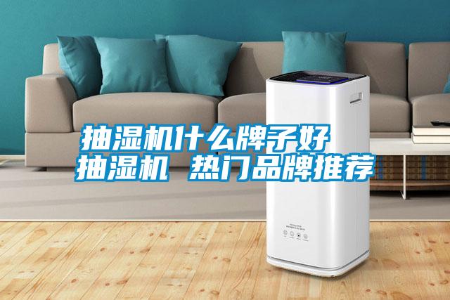 抽濕機什么牌子好  抽濕機 熱門品牌推薦