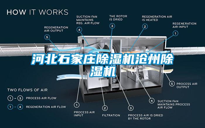 河北石家莊除濕機滄州除濕機